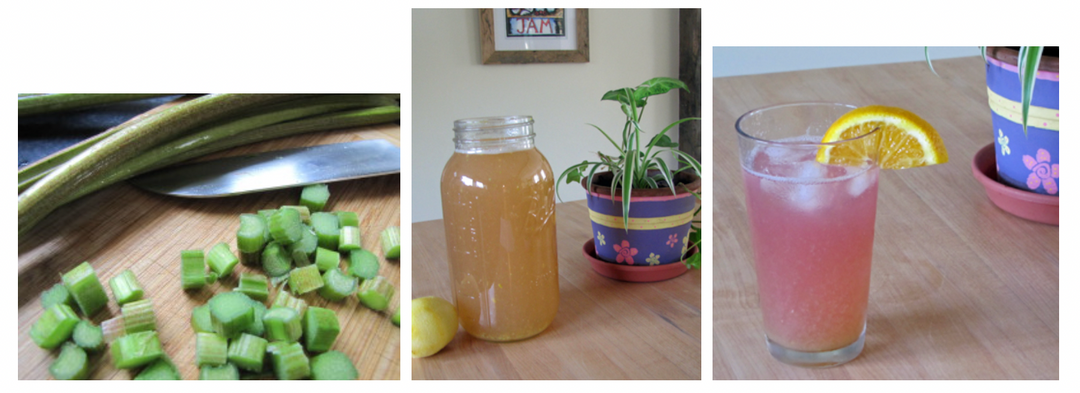 Mrs. Carr’s Shaker Cold Rhubarb Tea