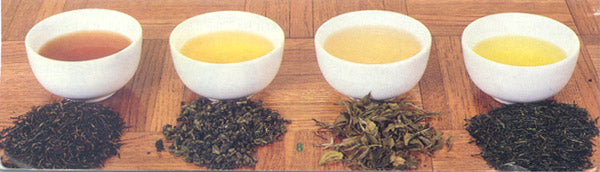 A Tea Taster’s Glossary