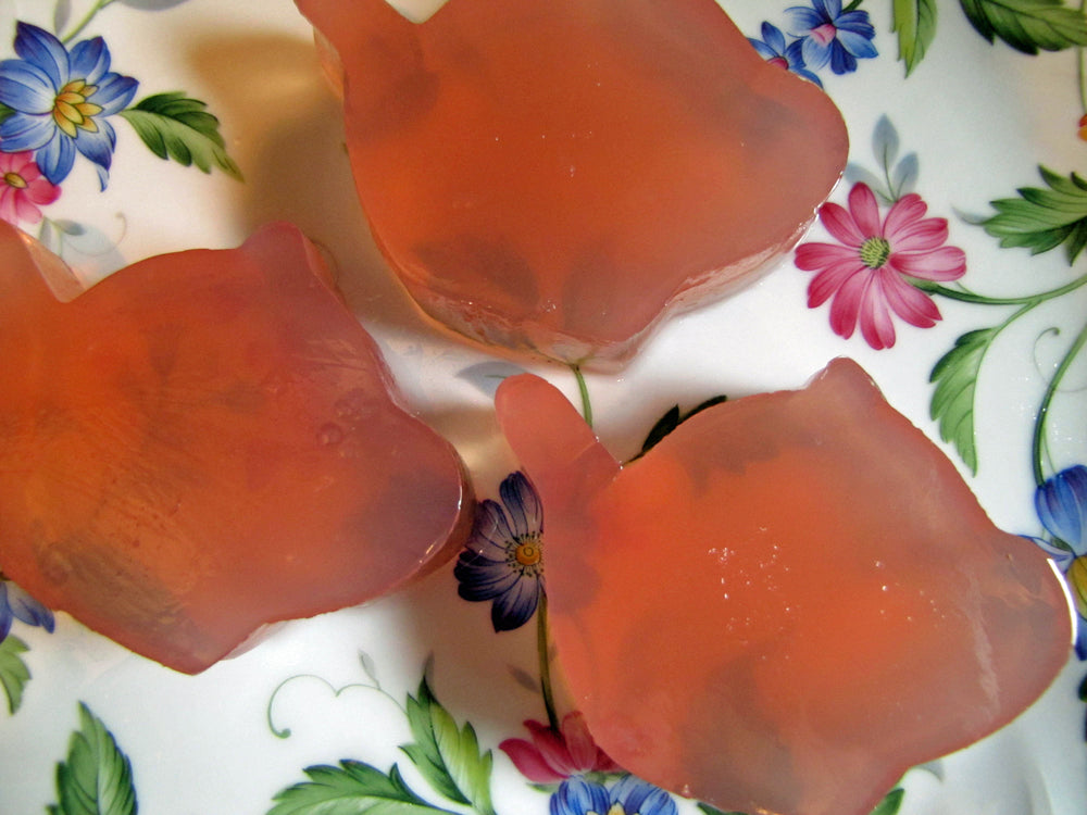 Orange Cranberry Vegan “Jello”