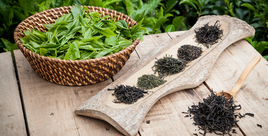 Colombian Black Tea