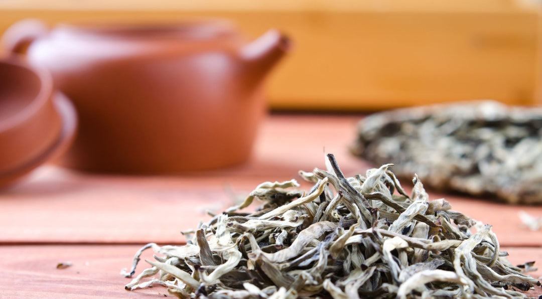 White Tea