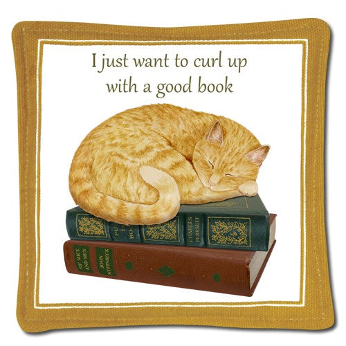 cat napping on books spiced mug mat 