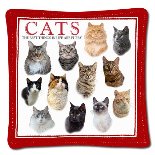 cats spiced mug mat 