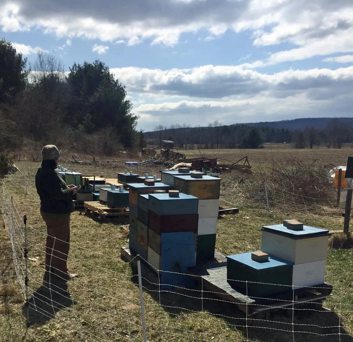beekeeping landscape