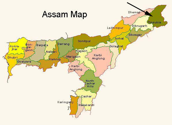 Assam satrupa estate black tea