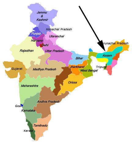 India map Assam area